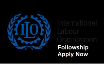 ILO Social Finance Fellowship